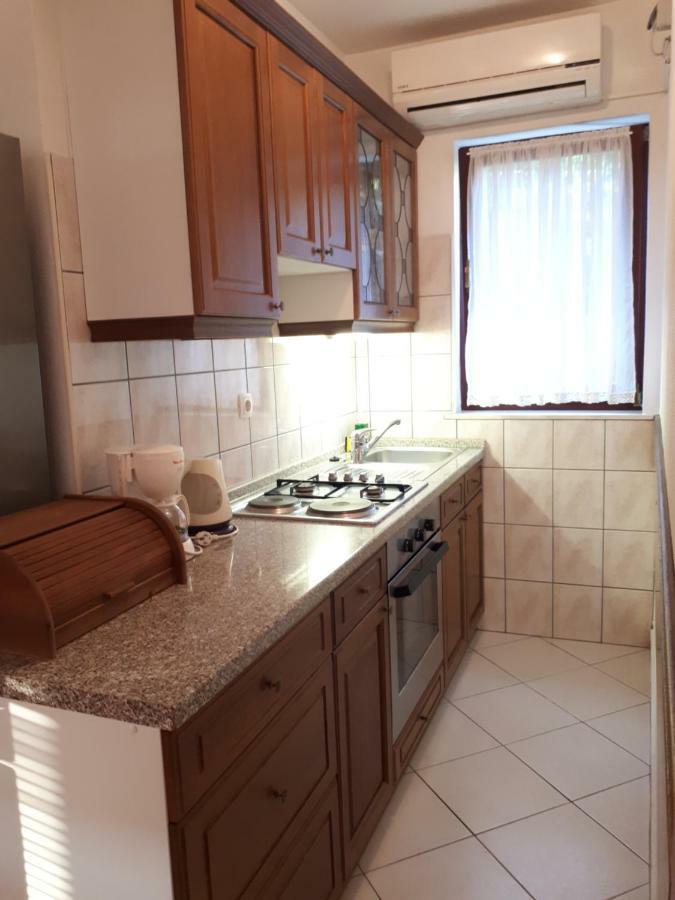 Apartment Tea Katnic ツリクヴェニツァ エクステリア 写真